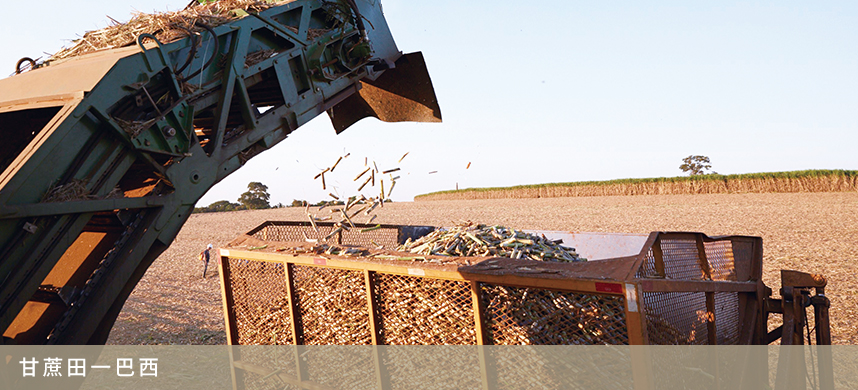 中国·永利yl23455(股份)有限公司-官方网站