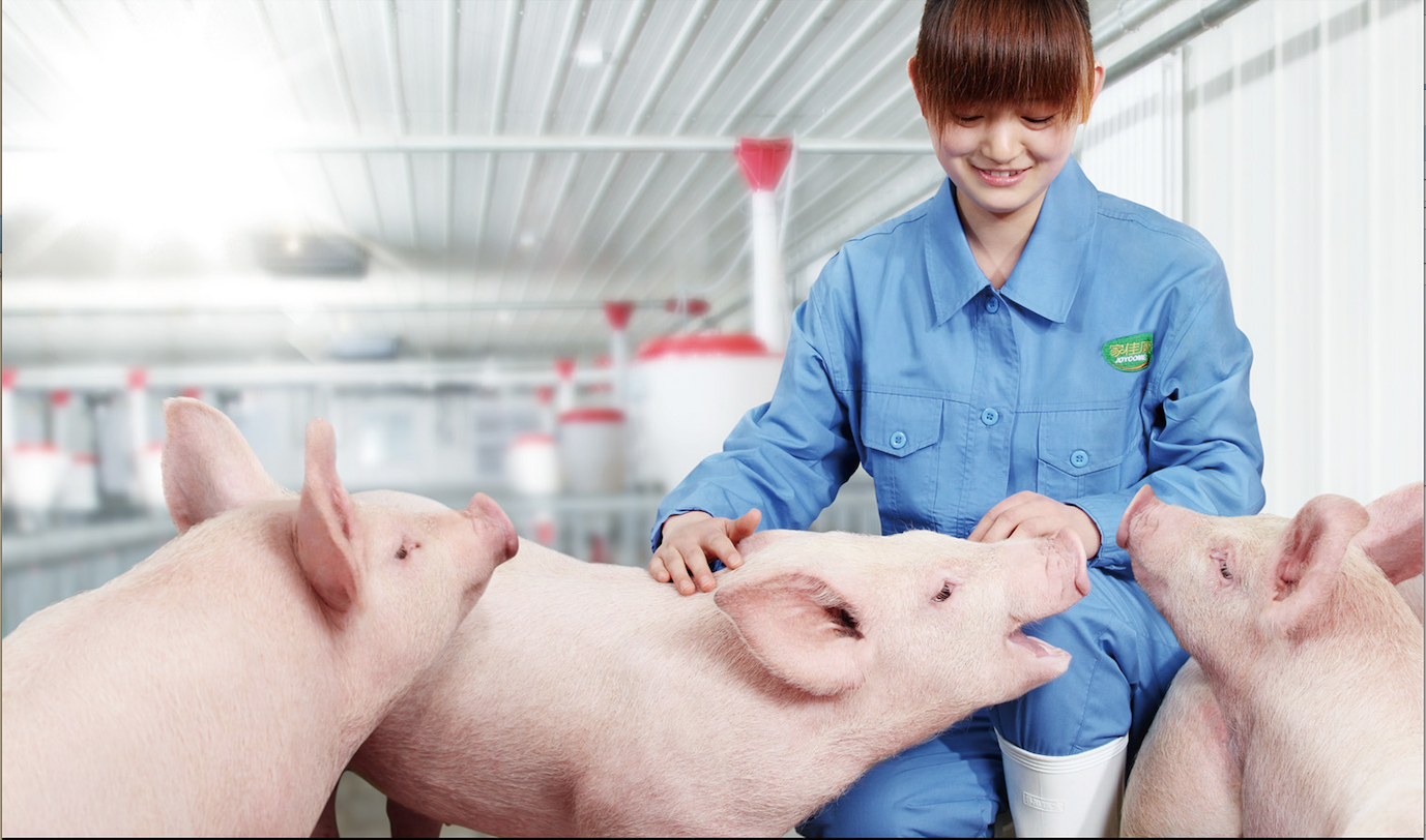 中国·永利yl23455(股份)有限公司-官方网站